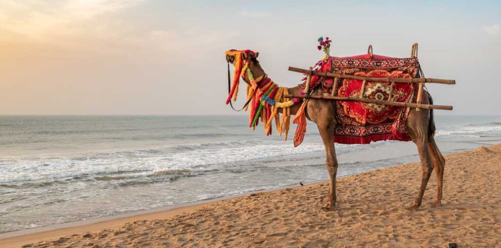 odisha