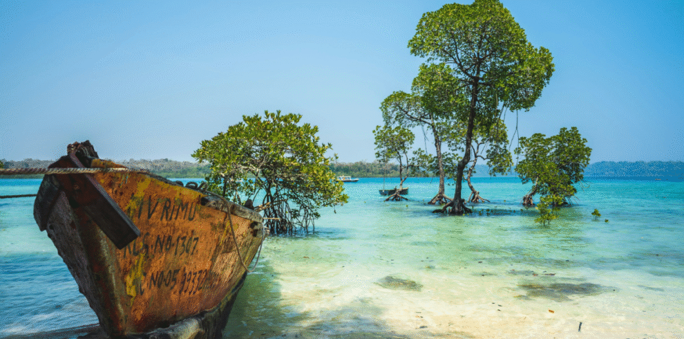 The Exotic Andaman & Nocobar Tour