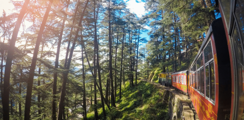 Shimla