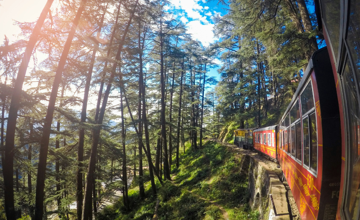 Shimla