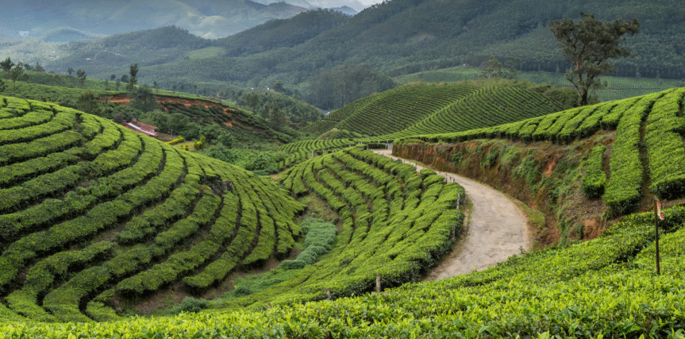kerala