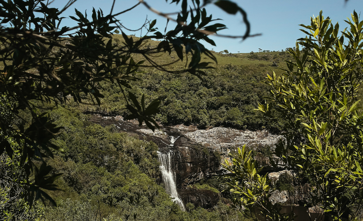 Corbet Reserve