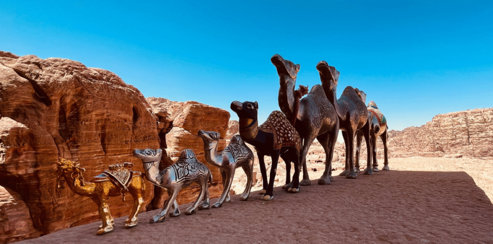 Camel Safari Tour