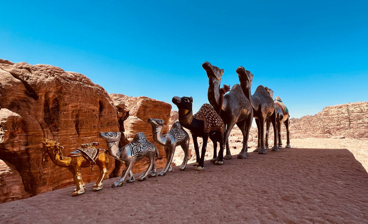 Camel Safari Tour
