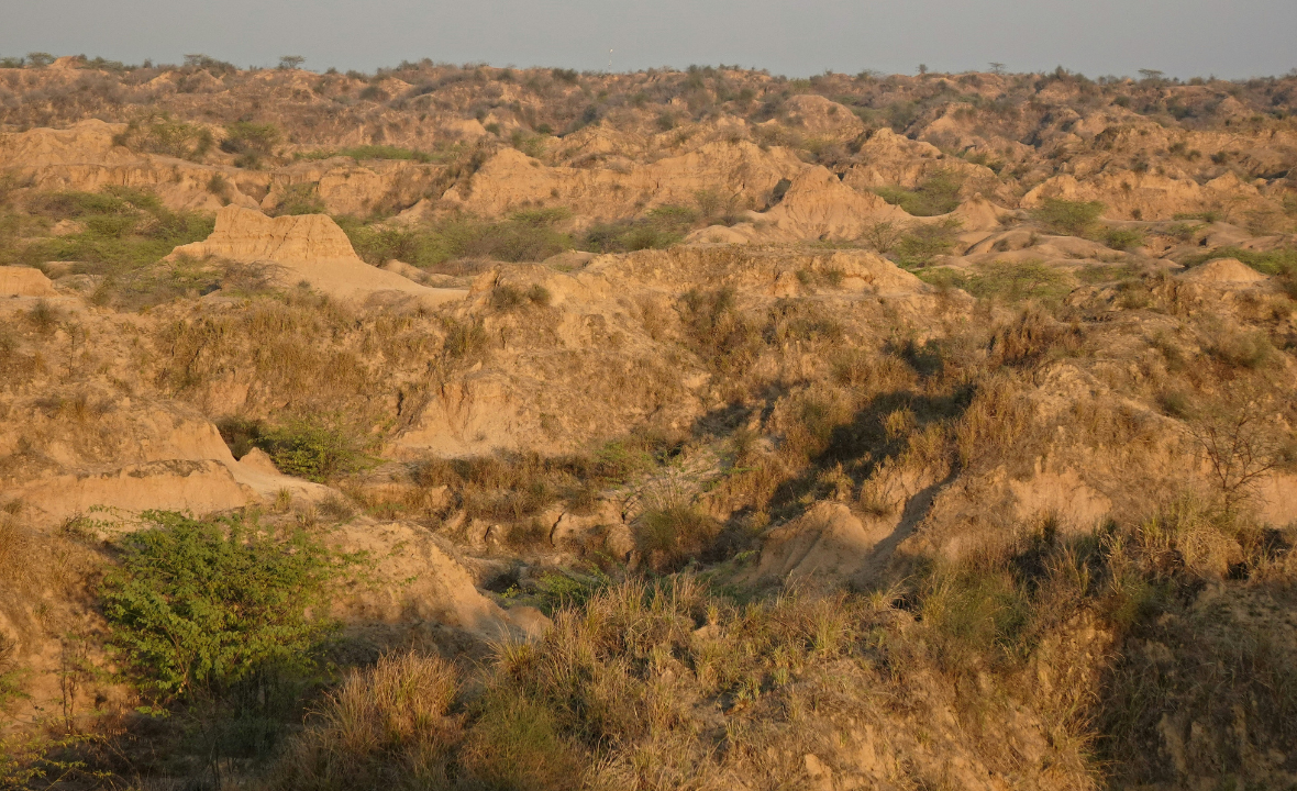 Rajasthan Wildlife Tour