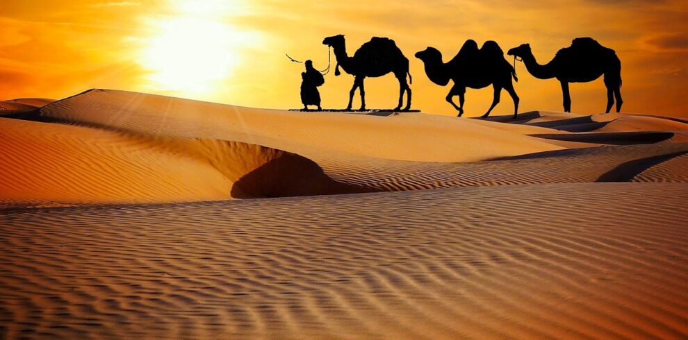 caravan, desert, safari, dune, camels, ride, more, rajasthan, camel, trekking, evening, dusk, sunset, nature, entertainers, music, indian, people, men, adventure, travel, tourism, brown music, brown travel, brown sunset, brown desert