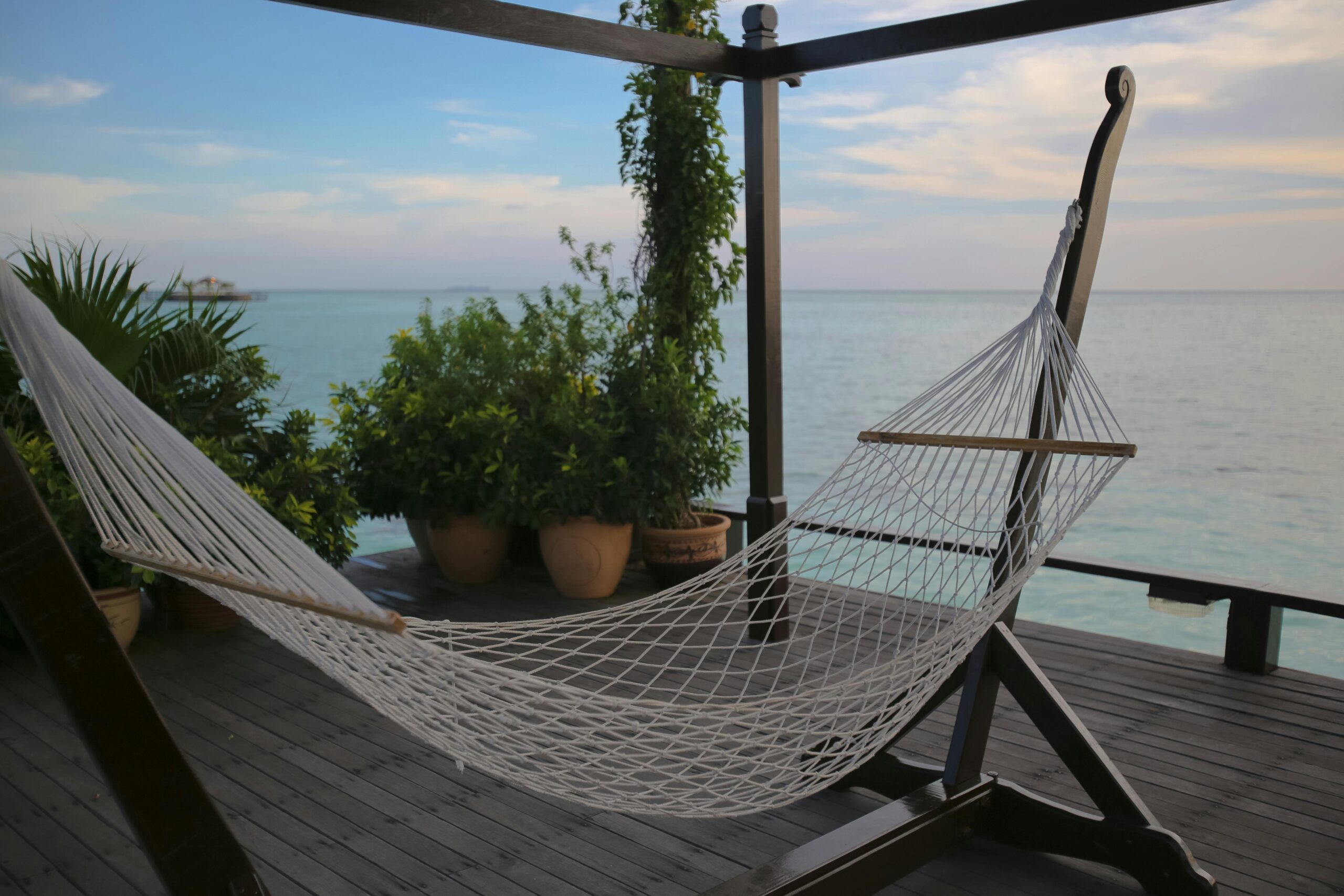 Relax in a hammock with a peaceful ocean view, surrounded by lush greenery, in a tropical setting.