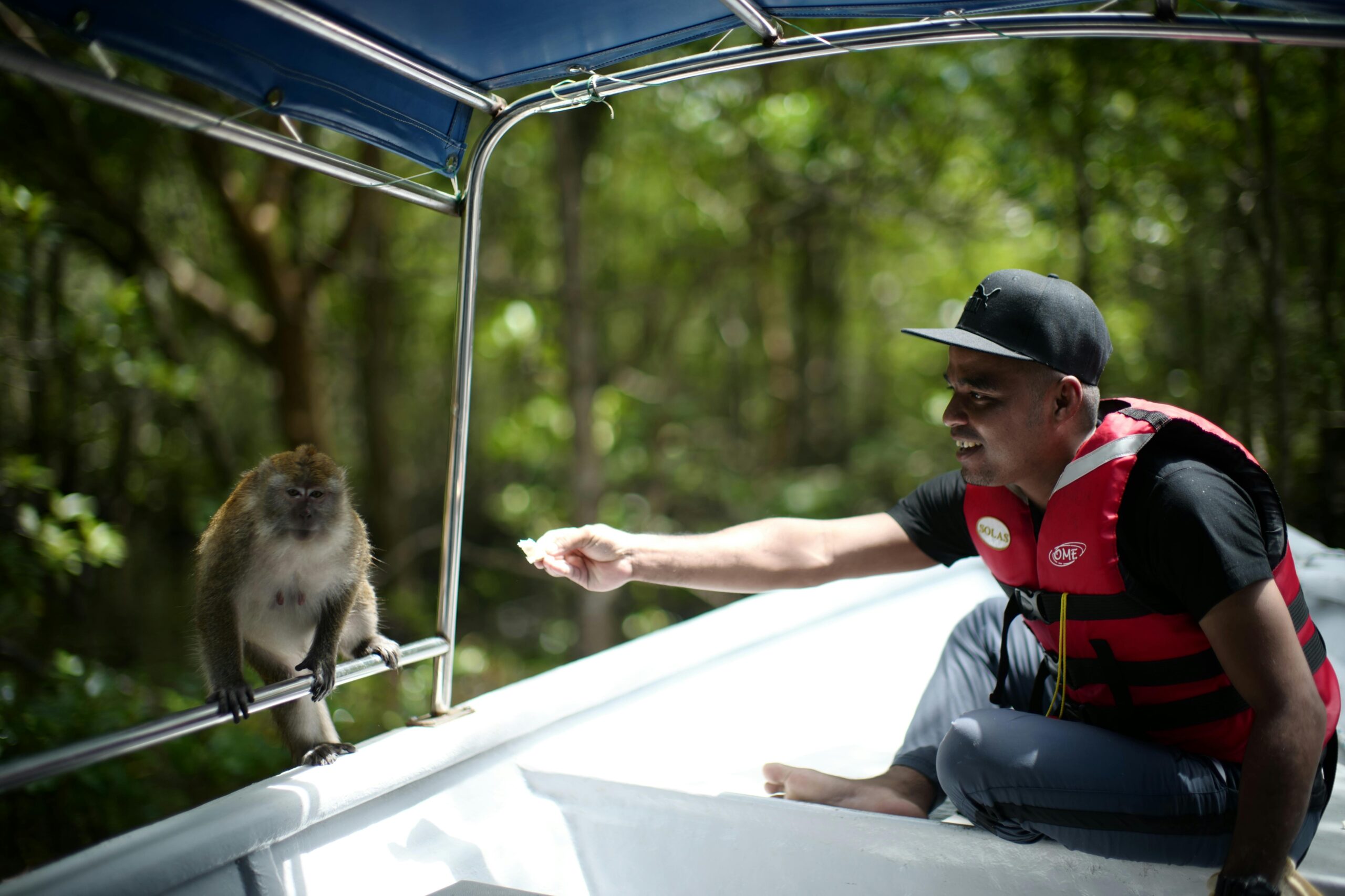 A man in a life jacket feeds a monkey while sitting on a boat in Langkawi's lush outdoor setting.
