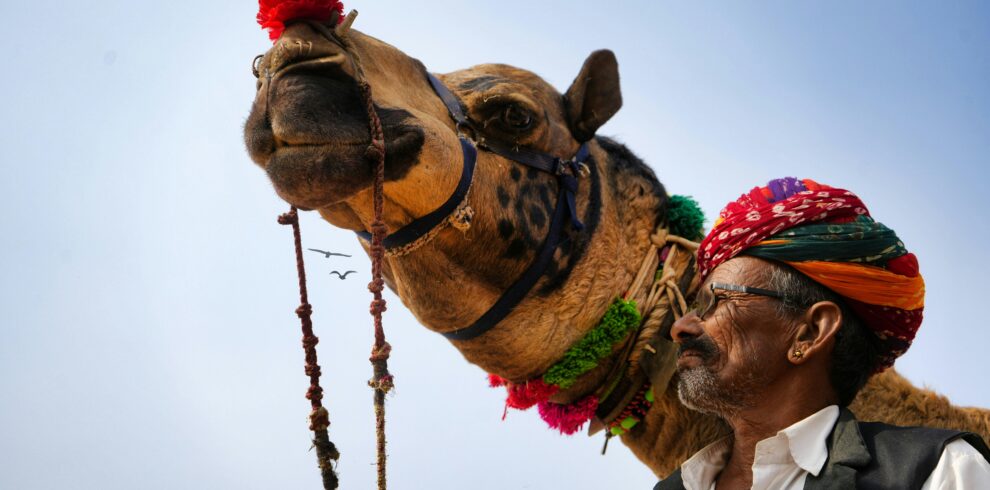 A vibrant scene of a cameleer with a decorated camel at the Pushkar Fair in India.