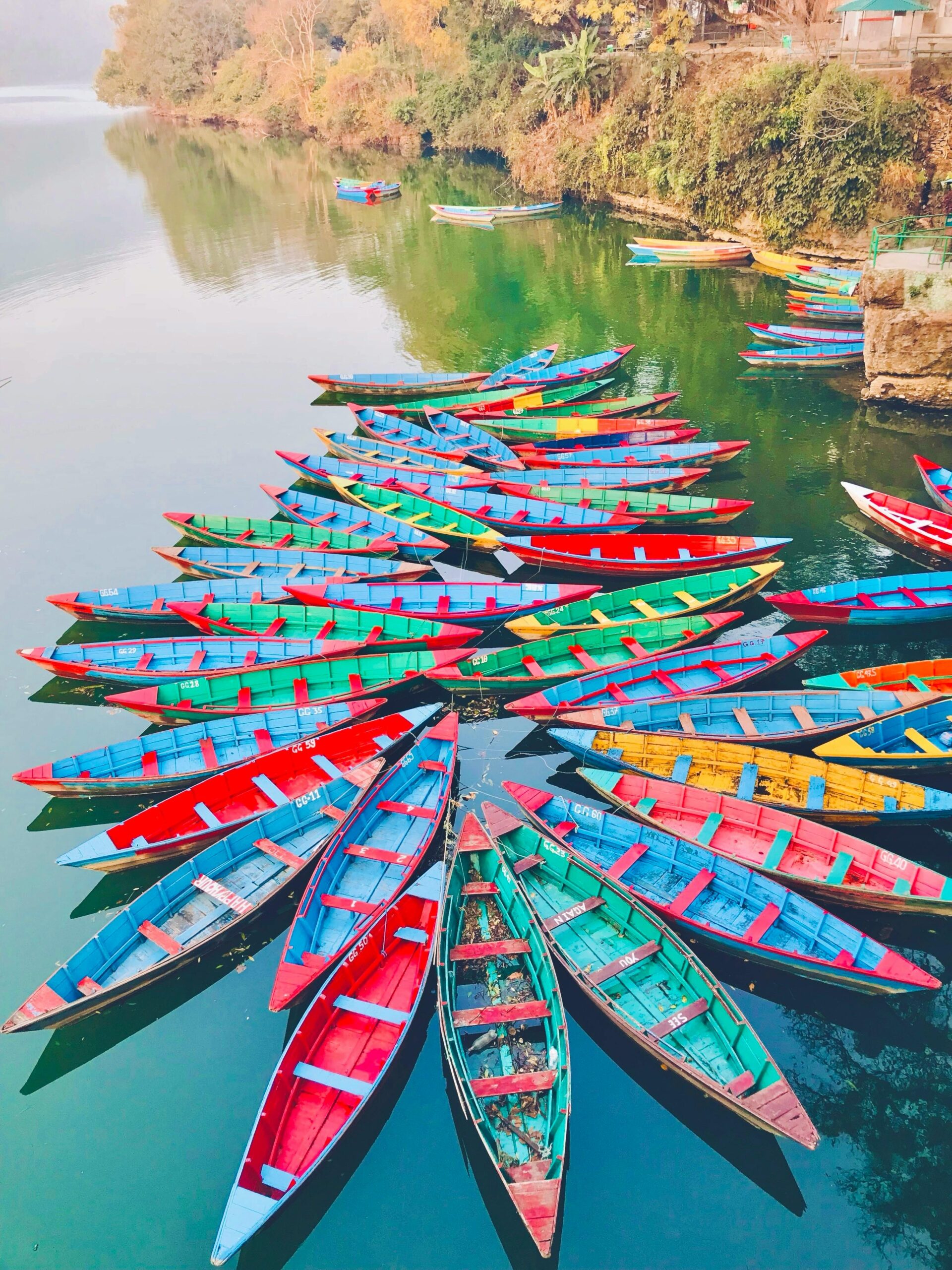 Colorful boats create a stunning pattern on Phewa Lake, Pokhara, capturing Nepal's vibrant culture and serene landscape.