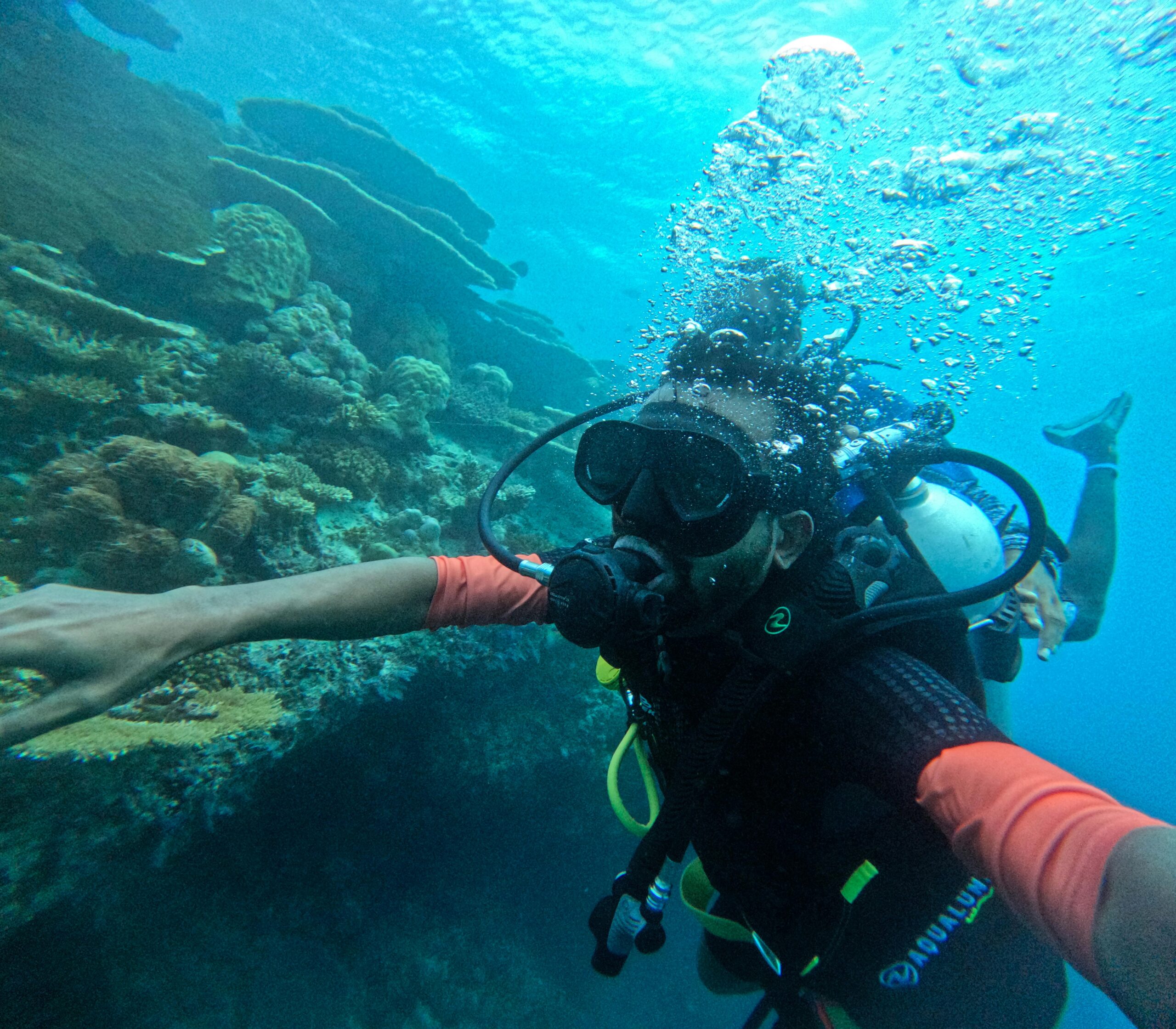 Experience scuba diving among vibrant corals in the Maldives underwater paradise.
