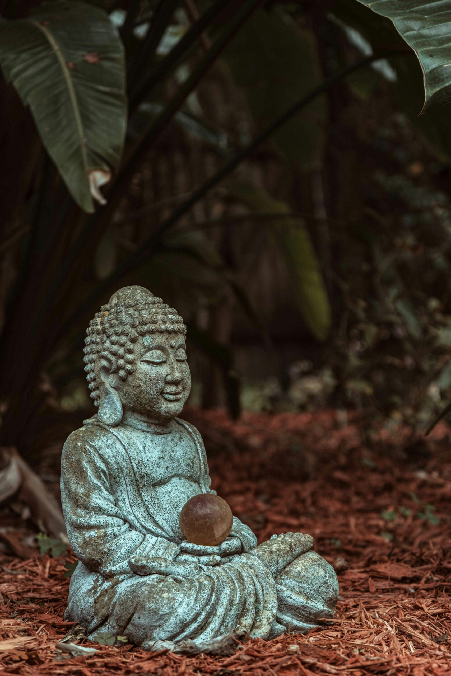 A peaceful stone Buddha statue amidst green foliage in an outdoor garden, evoking tranquility.