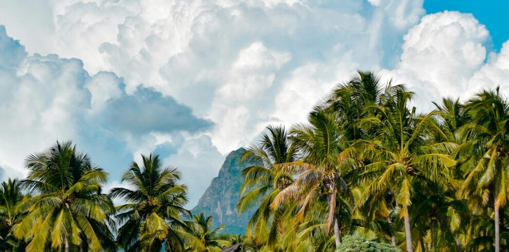 Stunning beach view at Flic en Flac, Mauritius with palm trees and scenic mountains.