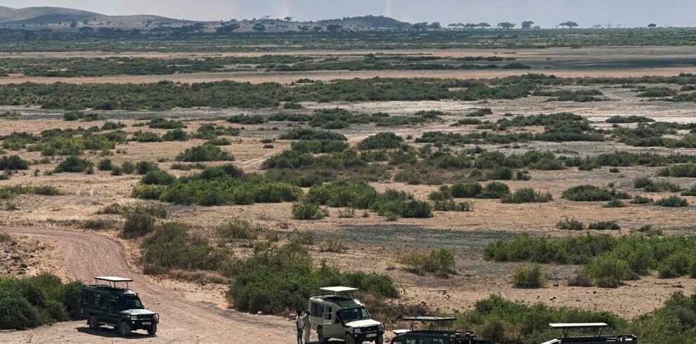 Safari vehicles traverse the rugged terrain of a vast South African landscape under a cloudy sky.