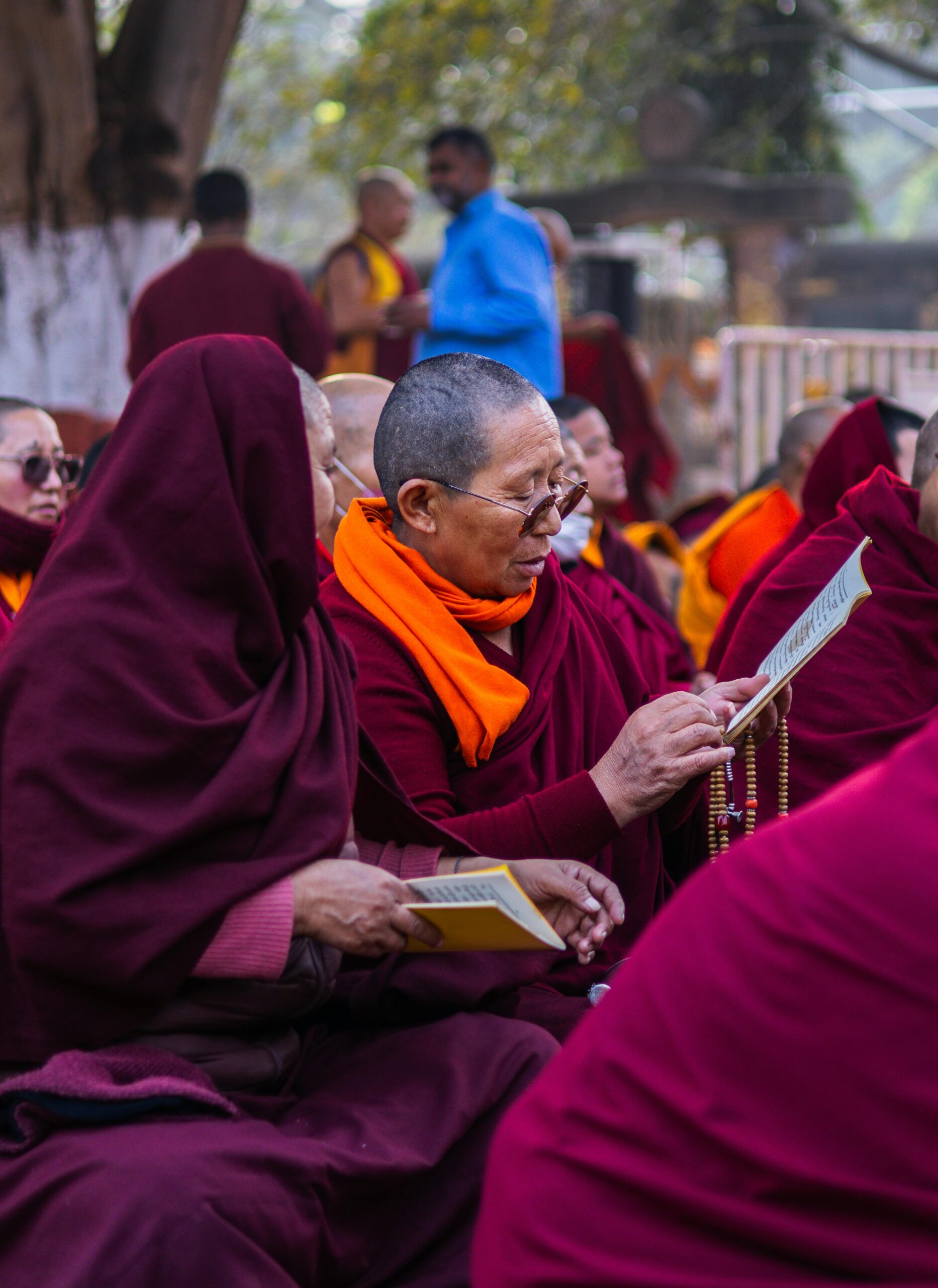 A group of monks in red and orange robes reading outdoors, engaged in communal learning.