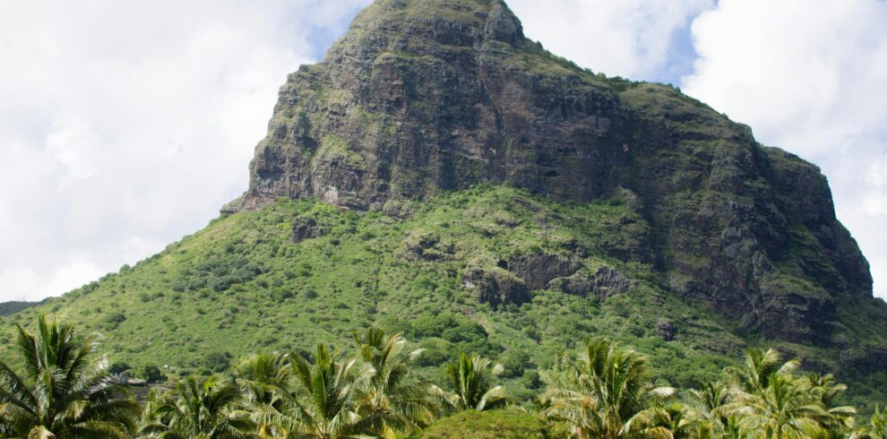 Scenic view of a lush mountain surrounded by coconut trees under a clear blue sky.