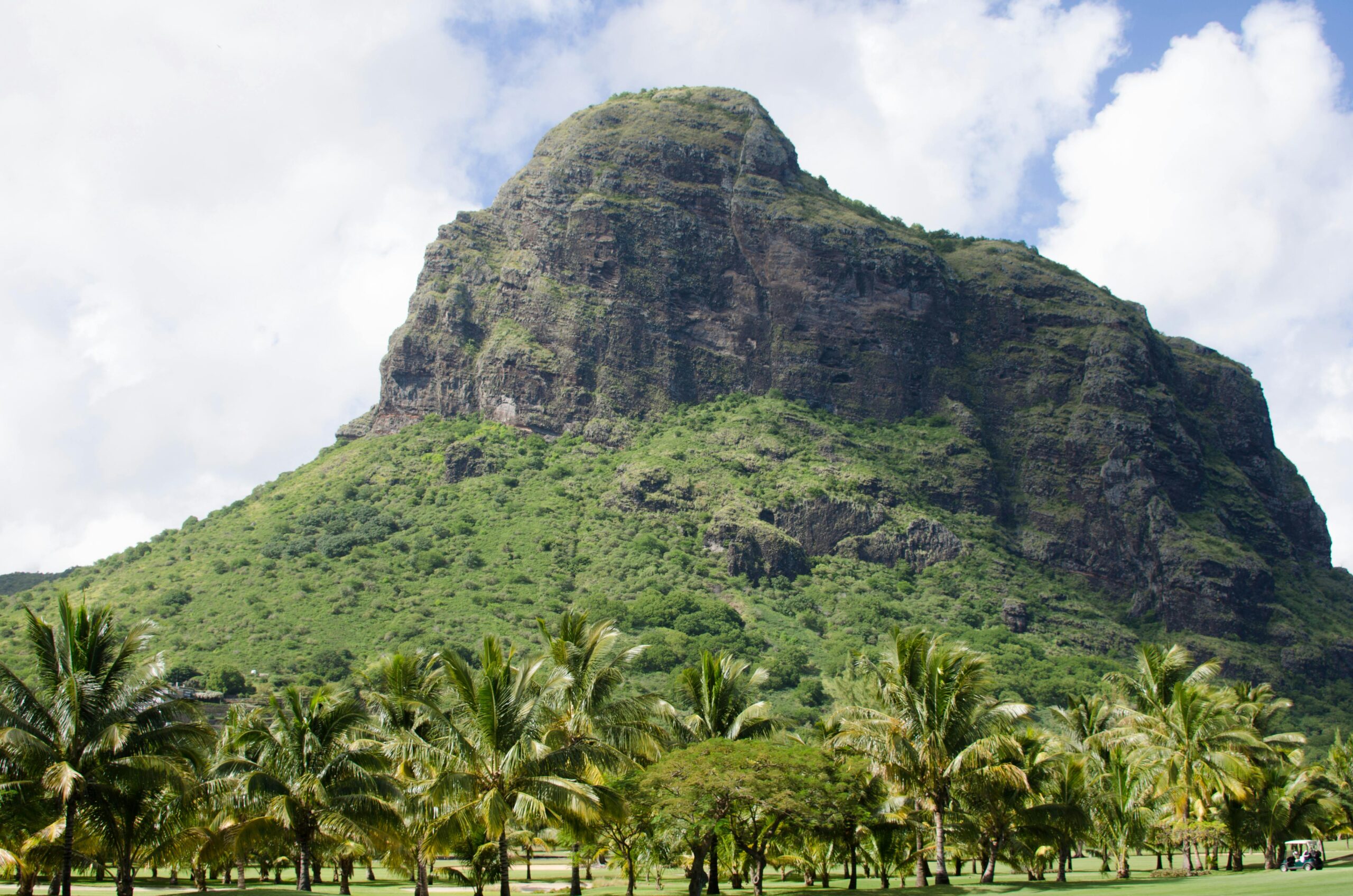 Scenic view of a lush mountain surrounded by coconut trees under a clear blue sky.
