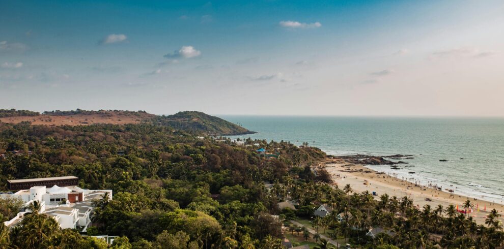 Aerial view of lush greenery and Mandrem Beach coastline under a clear sky in Goa, India.