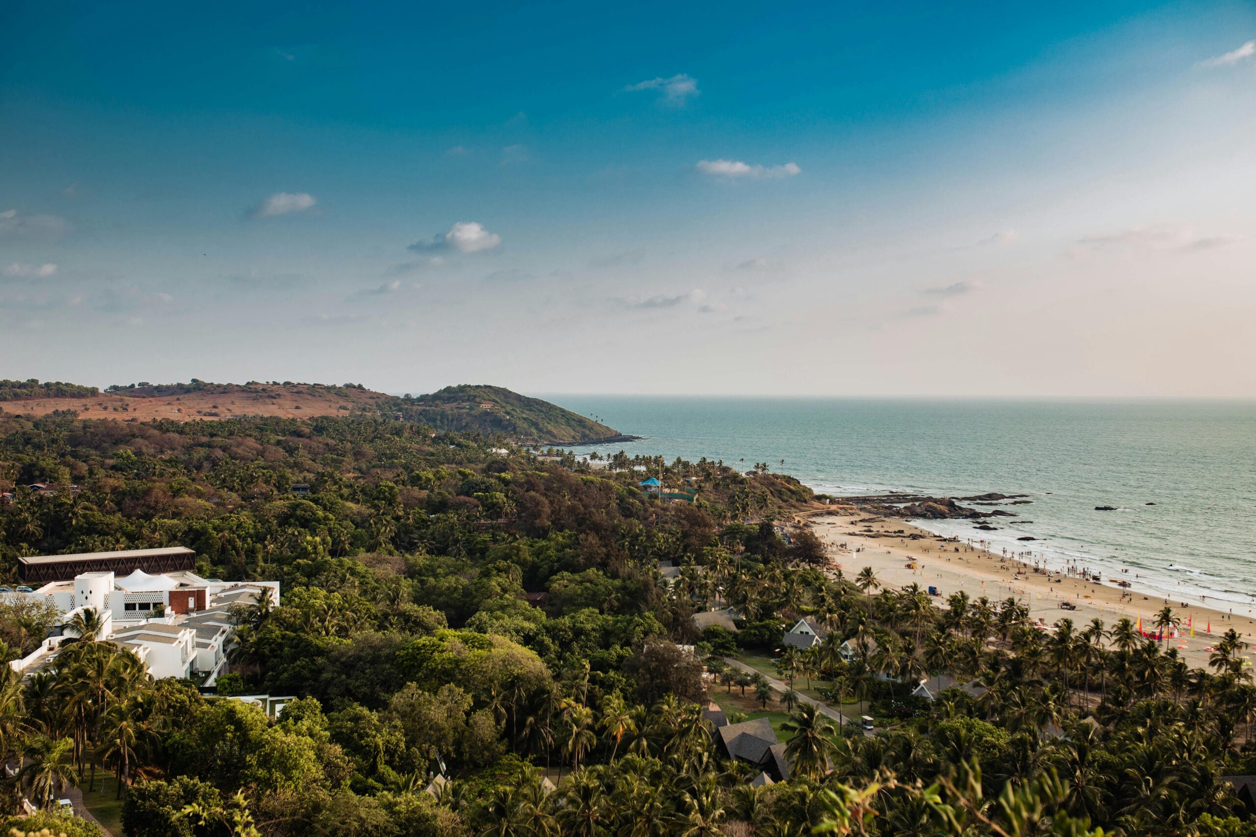 Aerial view of lush greenery and Mandrem Beach coastline under a clear sky in Goa, India.