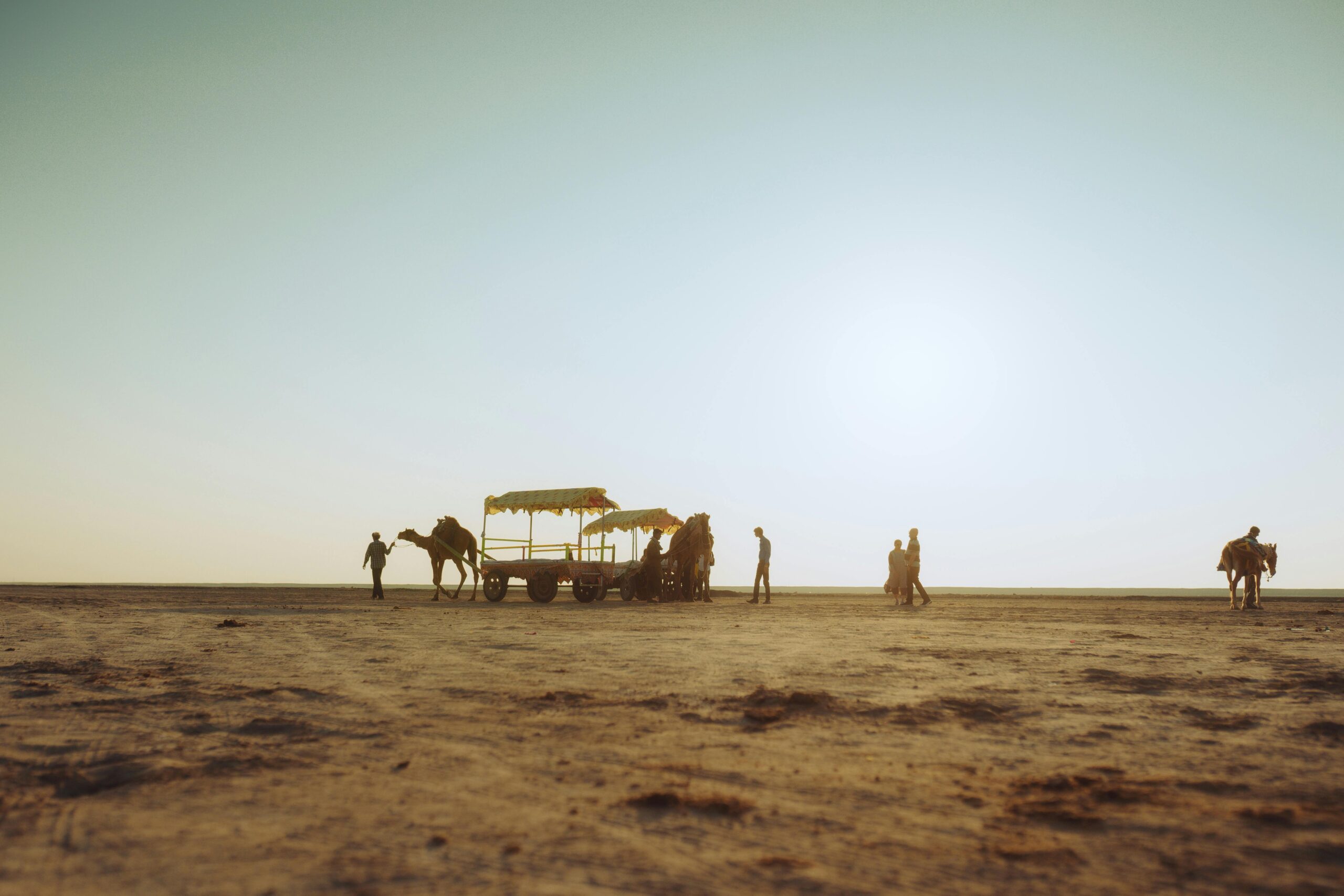 A scenic view of camel cart rides at sunset in the expansive Rann of Kutch desert, Gujarat, India.