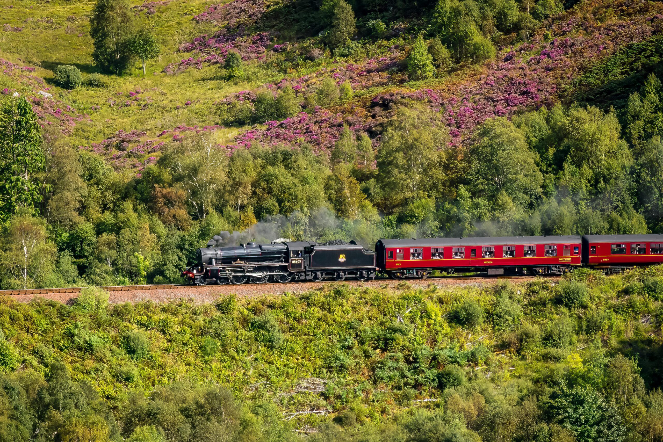 A steam locomotive travels through the lush green Highlands of Scotland.